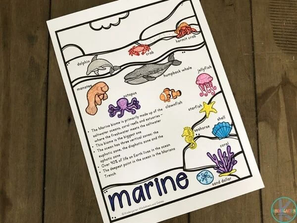 Easy Biomes Coloring Page  For Kids