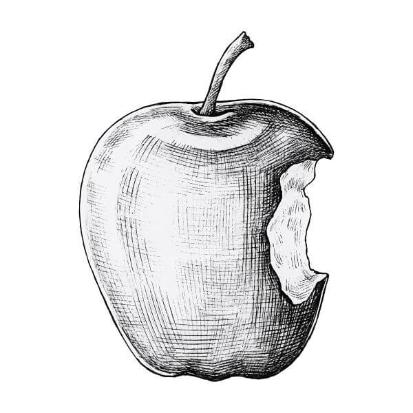 Easy Apple Sketch For Kids Apple Drawing & Sketches for Kids
