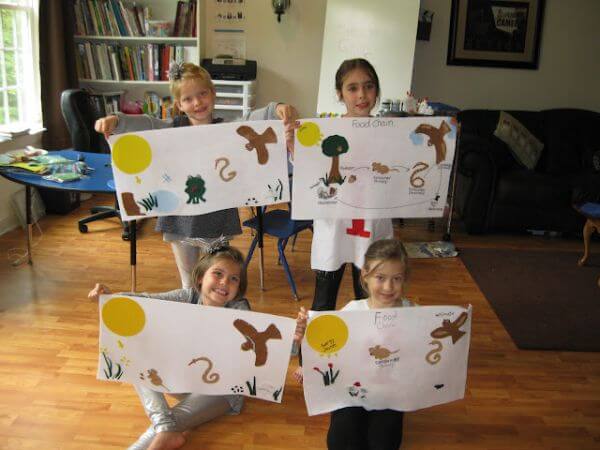 Easy Food Chain & food web Art Project activities With Paper For Kids