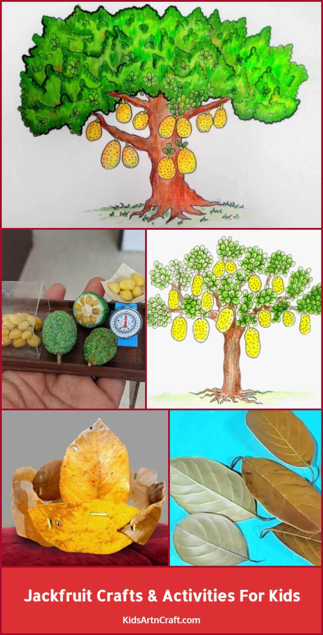 Jackfruit Crafts & Activities For Kids