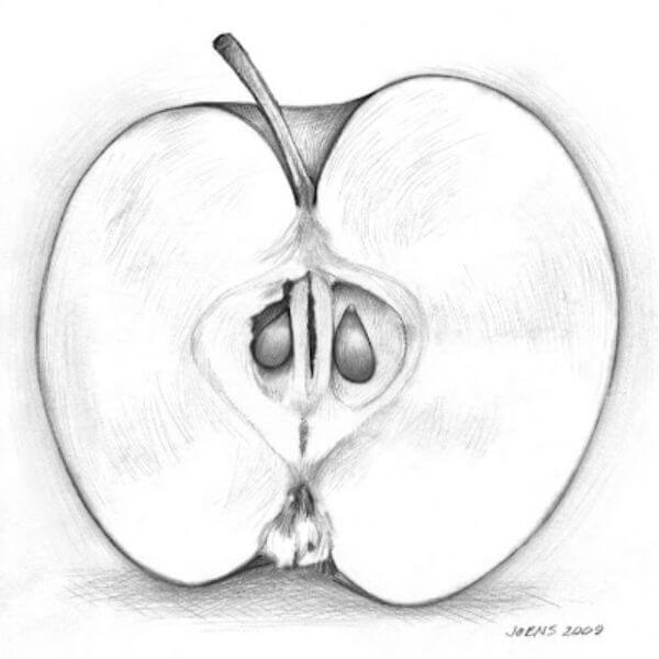 Easy Pencil Art Apple Sketch