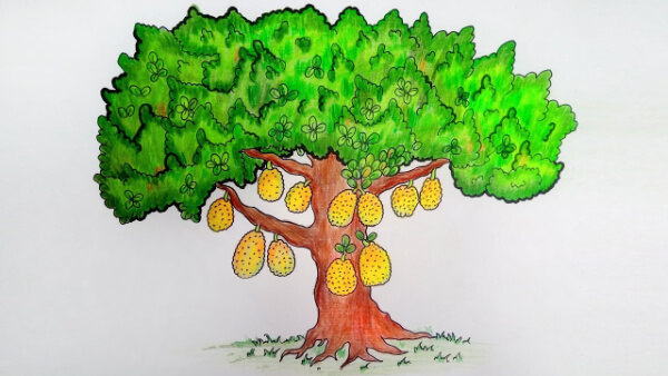 Easy Jackfruit Tree Drawing For Kids Jackfruit Crafts & Activities for Kids