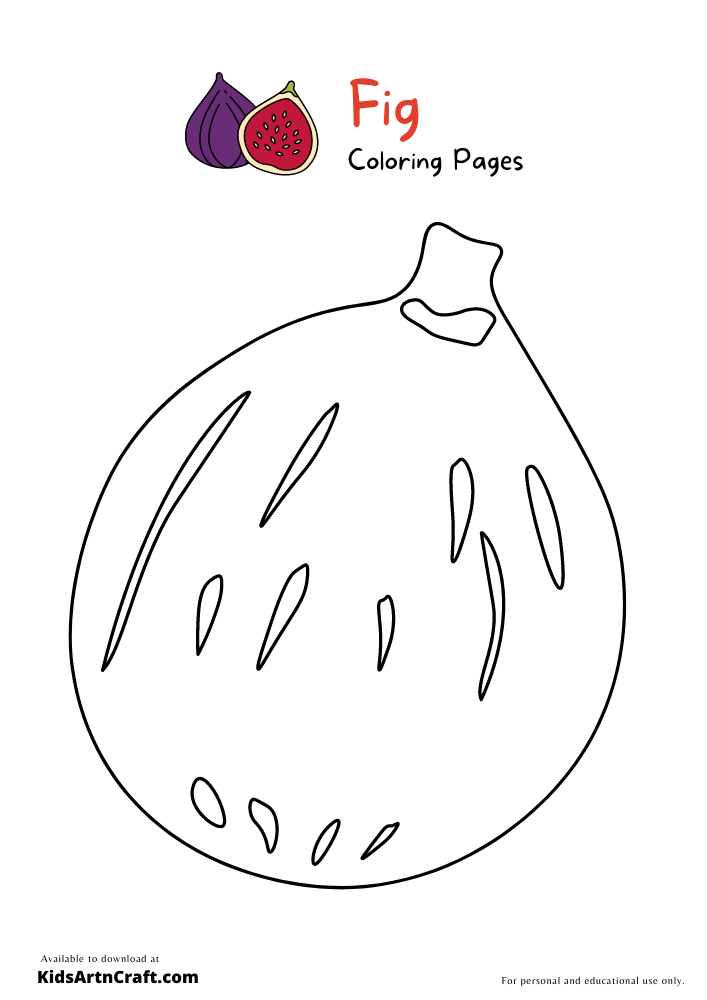 Fig Coloring Pages For Kids – Free Printables