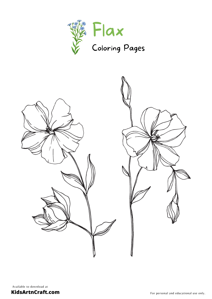 Flax Coloring Pages For Kids – Free Printables