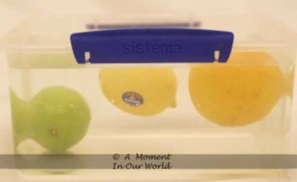 Floating Lemons Science Experiment For Kids