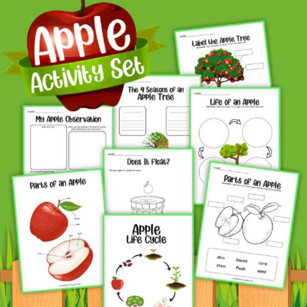 Fun Printable Apple Lifecycle Activities Sheet Apple Crafts & Activities for Kids