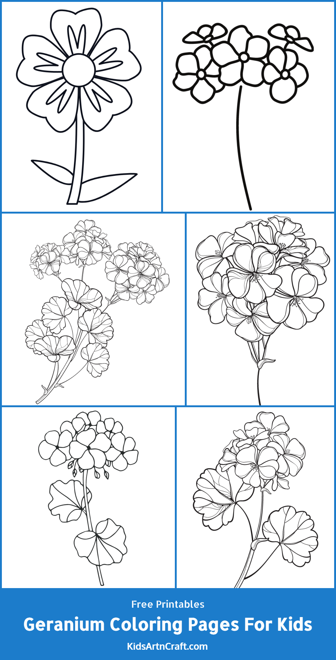 Geranium Coloring Pages For Kids – Free Printables