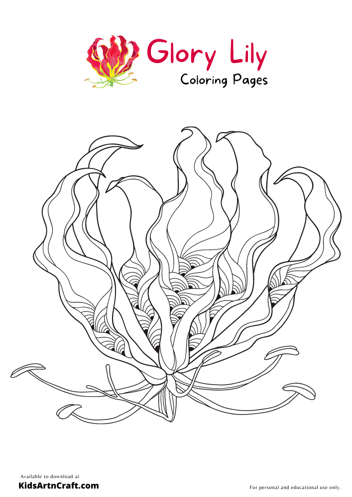 Glory Lily Coloring Pages For Kids – Free Printables
