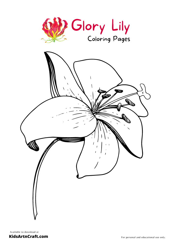 Glory Lily Coloring Pages For Kids – Free Printables