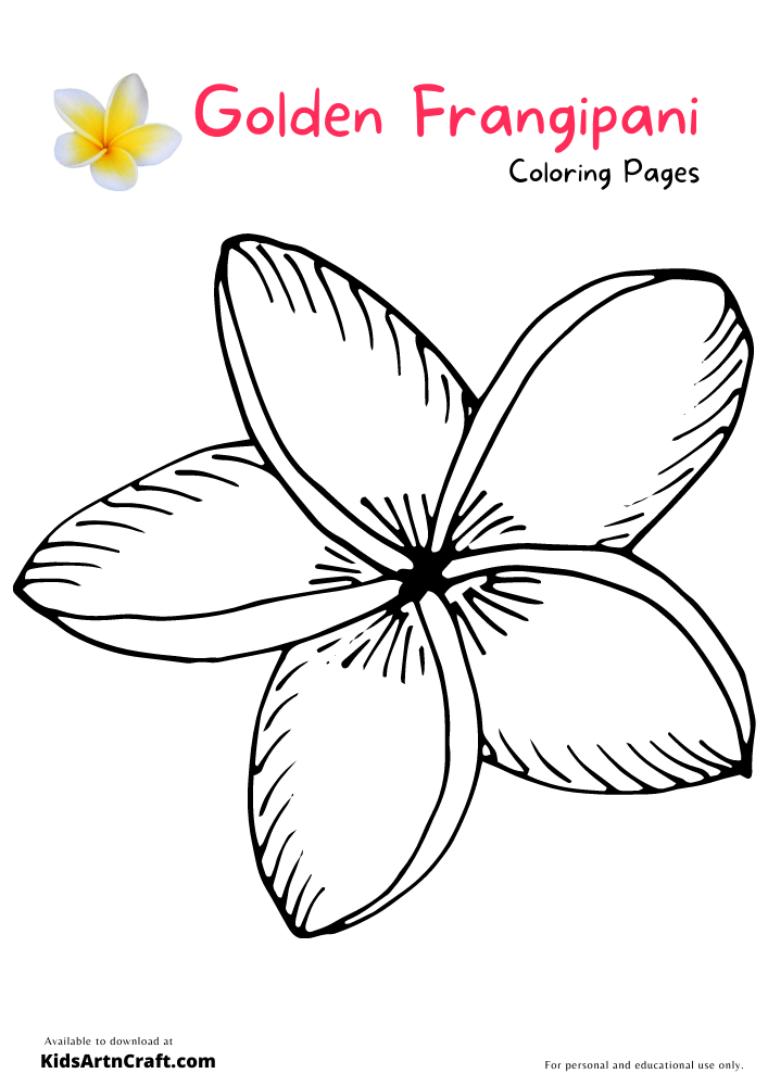 Golden Frangipani Coloring Pages For Kids