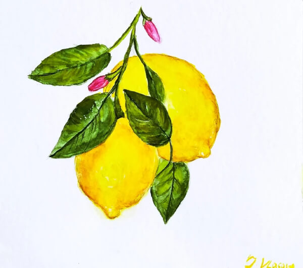 Hand Drawn Lemon Color Using Watercolor