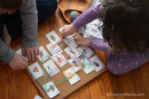 Hands-On Food Web Science Learning Activity For Kids