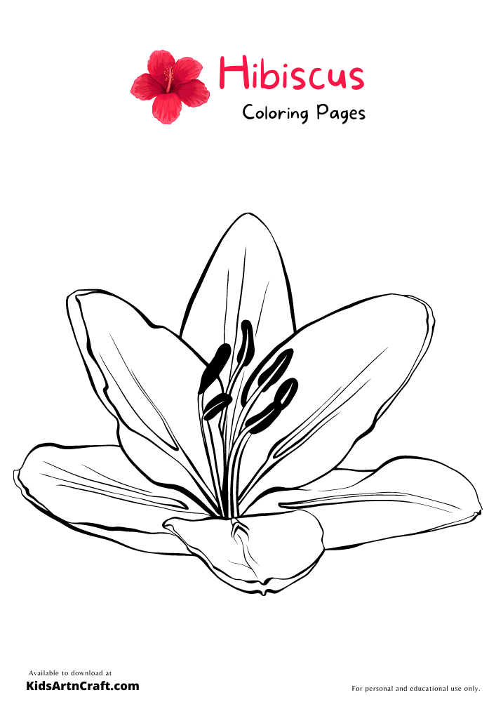 Hibiscus Coloring Pages For Kids – Free Printables