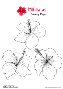 Hibiscus Coloring Pages For Kids – Free Printables - Kids Art &amp; Craft