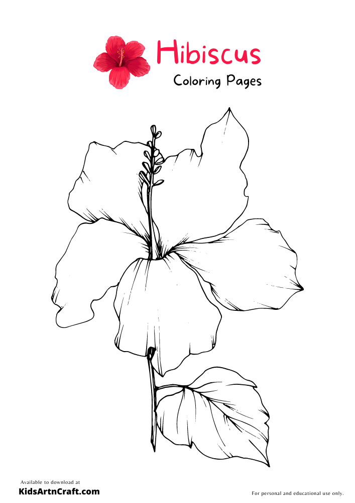 Hibiscus Coloring Pages For Kids – Free Printables