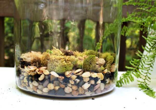 How To Make A Rainforest Habitat For Kids Animal Habitat Projects for Kids