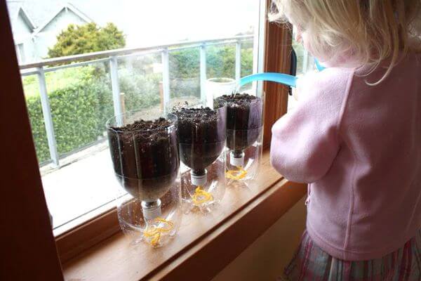 How To Make Seed Starter Pots School Planting Projects & Activities For Kids