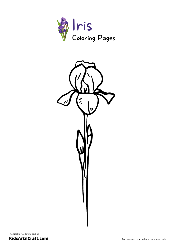 Iris Coloring Pages For Kids – Free Printables