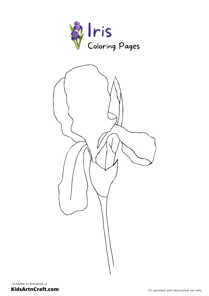 Iris Coloring Pages For Kids – Free Printables