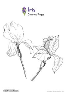 Iris Coloring Pages For Kids – Free Printables - Kids Art &amp; Craft