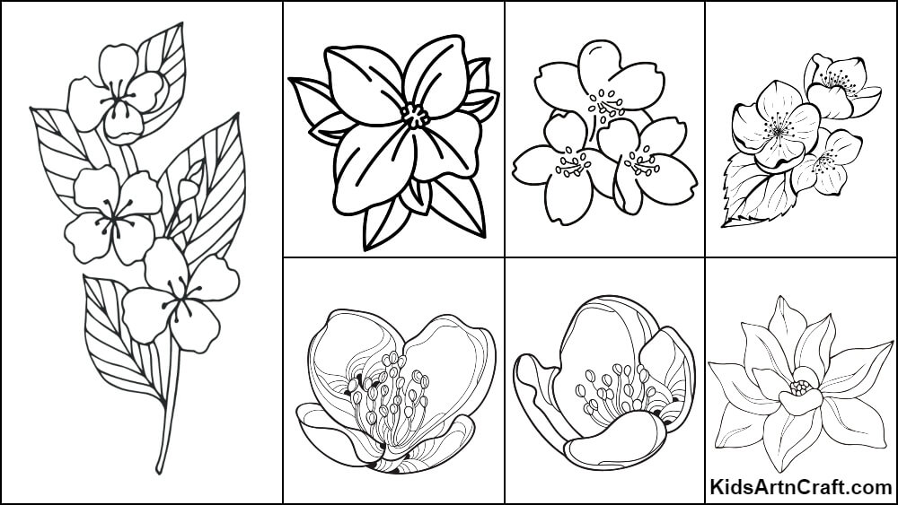 Jasmine Coloring Pages For Kids – Free Printables