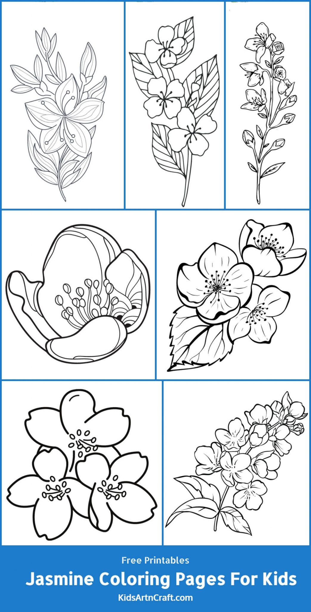Jasmine Coloring Pages For Kids – Free Printables - Kids Art & Craft