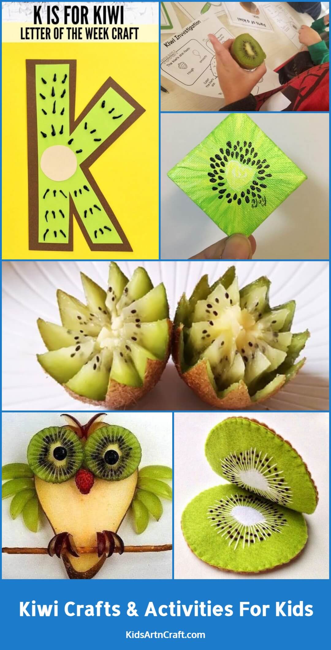 Kiwi Crafts & Activities For Kids