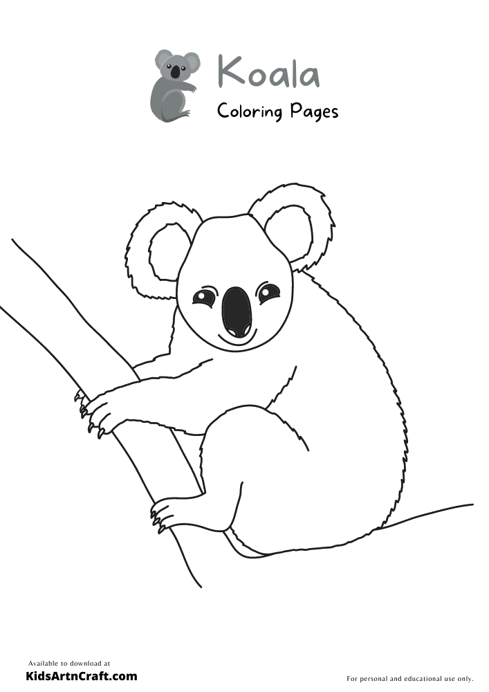 Koala Coloring Pages For Kids – Free Printables
