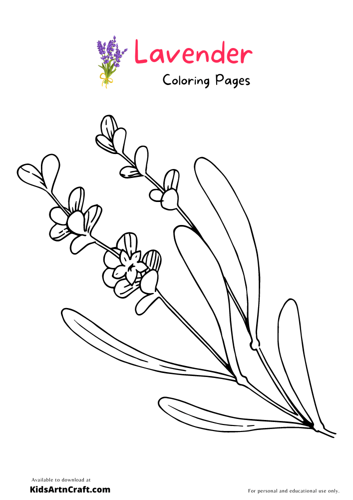 Lavender Coloring Pages For Kids – Free Printables