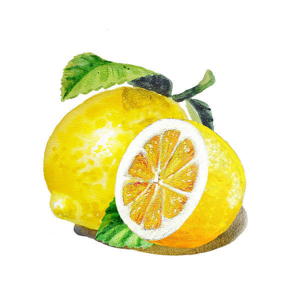 Juicy Lemon Watercolor Painting For Kids Lemon Paintings for Kids
