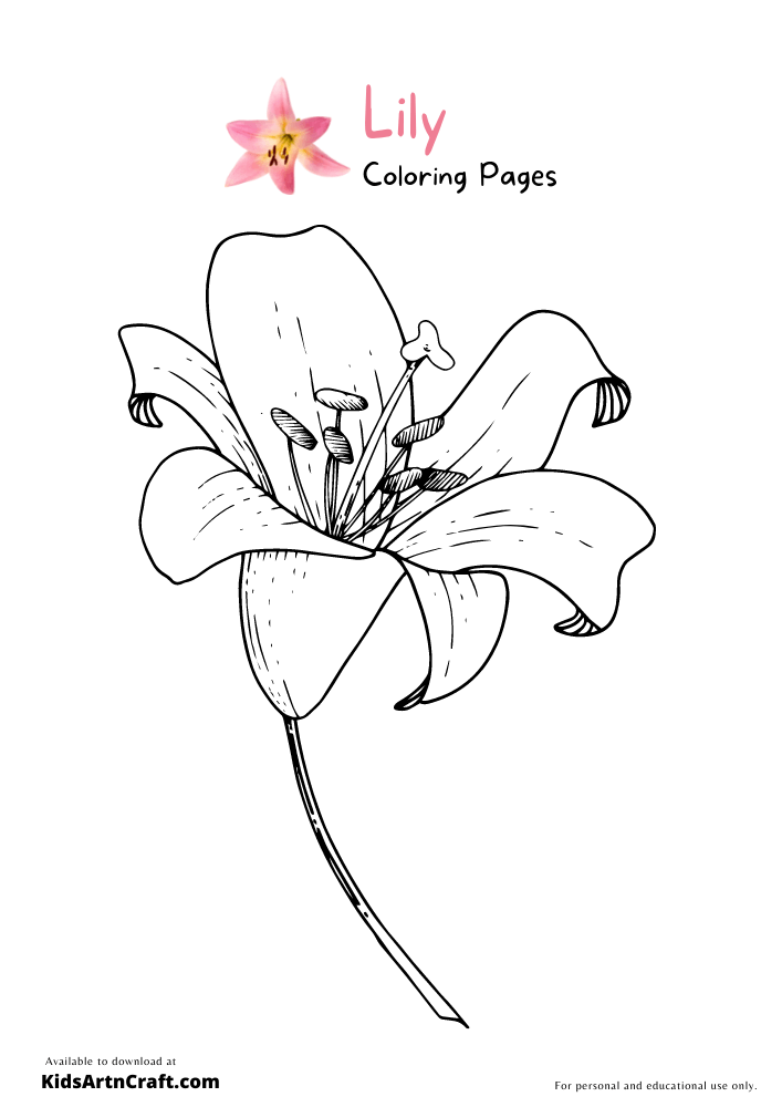 Lily Coloring Pages For Kids – Free Printables