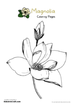 Magnolia Coloring Pages For Kids – Free Printables - Kids Art & Craft