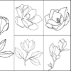 Magnolia Coloring Pages For Kids – Free Printables