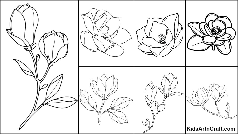 Magnolia Coloring Pages For Kids – Free Printables