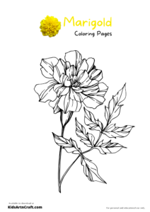 Marigold Coloring Pages For Kids – Free Printables - Kids Art & Craft