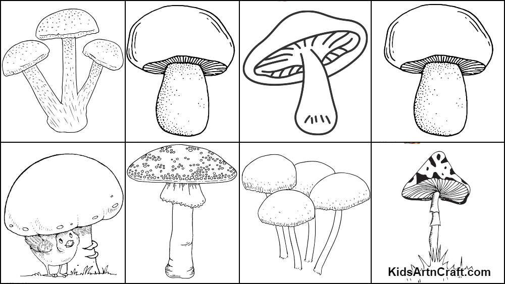 Mushroom Coloring Page-1 Graphic by Pick Craft · Creative Fabrica