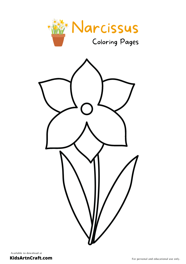 Narcissus Coloring Pages For Kids – Free Printables