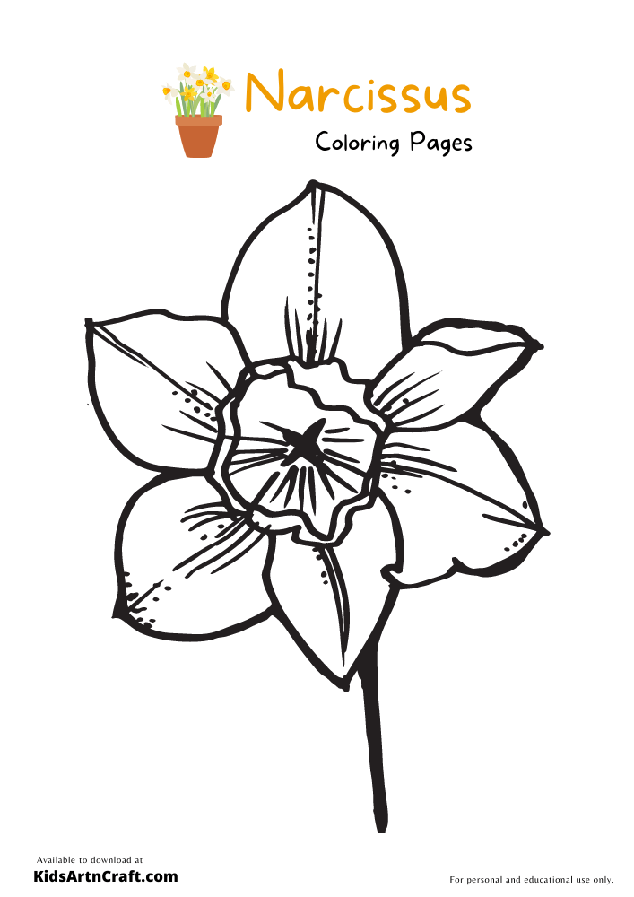 Narcissus Coloring Pages For Kids – Free Printables