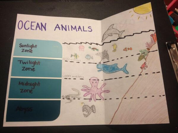 Ocean Animal Zone For  Kids Animal Habitat Projects for Kids