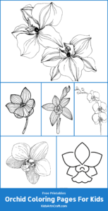 Orchid Coloring Pages For Kids – Free Printables - Kids Art &amp; Craft