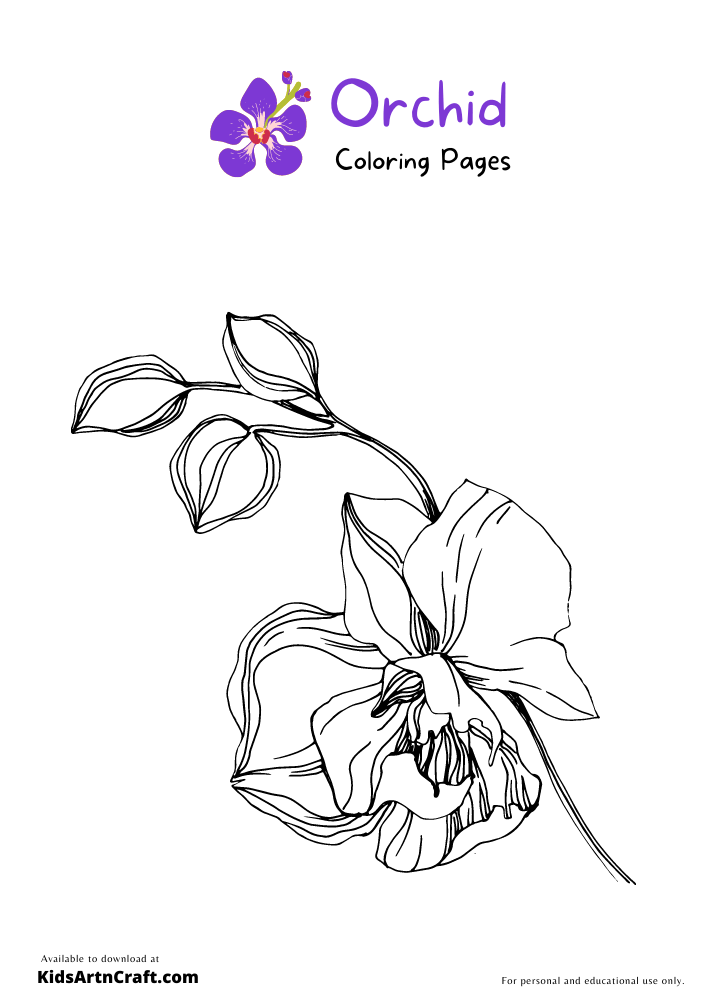 Orchid Coloring Pages For Kids – Free Printables