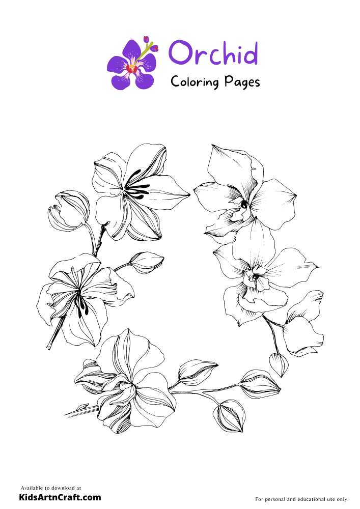 Orchid Coloring Pages For Kids – Free Printables