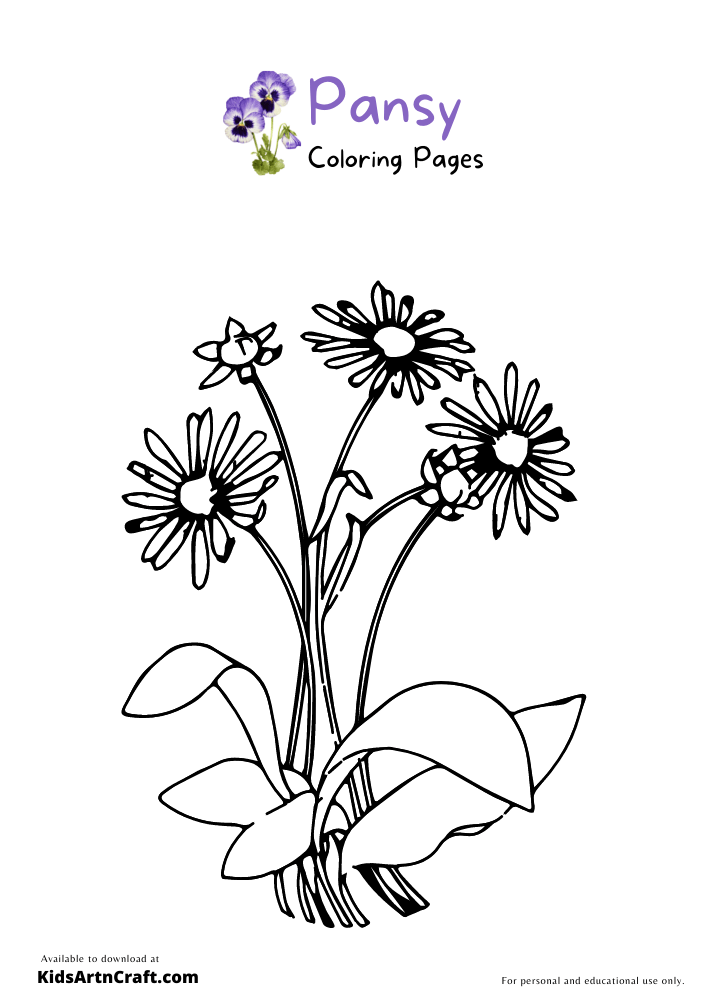 Pansy Coloring Pages For Kids