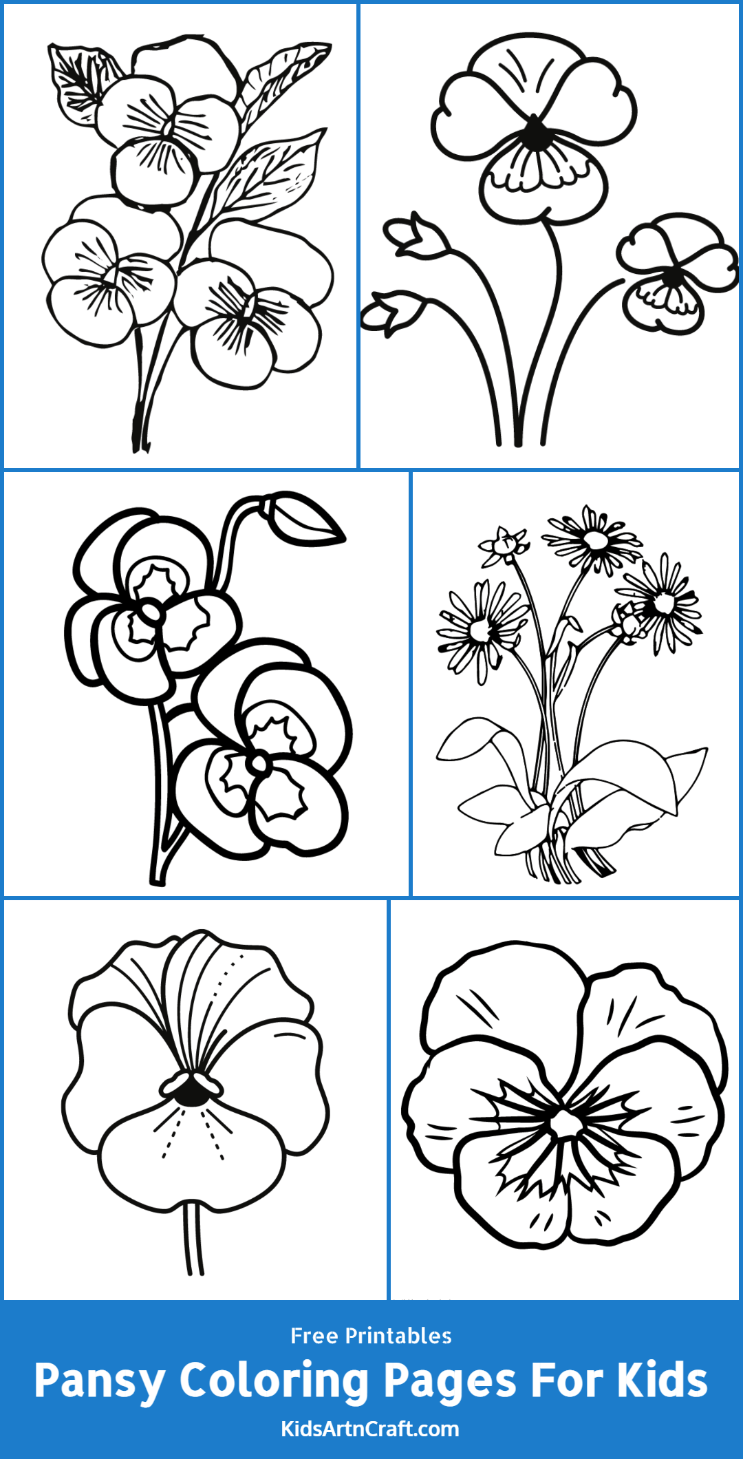 Pansy Coloring Pages For Kids – Free Printables