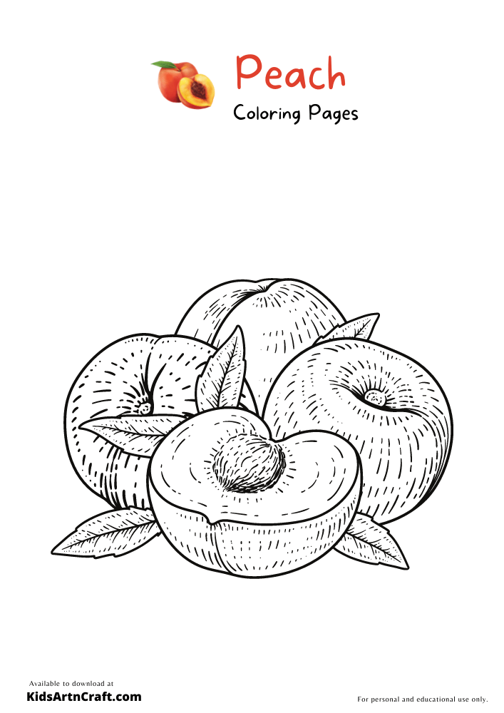 Peach Coloring Pages For Kids – Free Printables