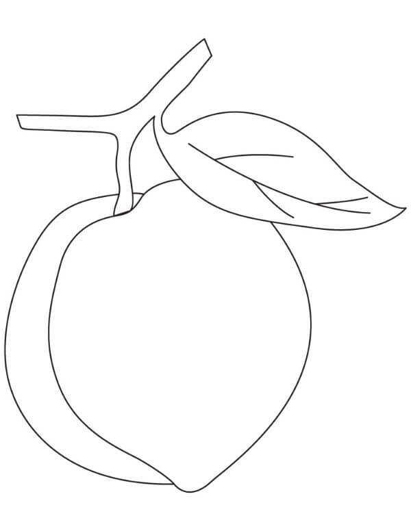 Peach Fruit Coloring Pages Peach Crafts & Activities for Kids
