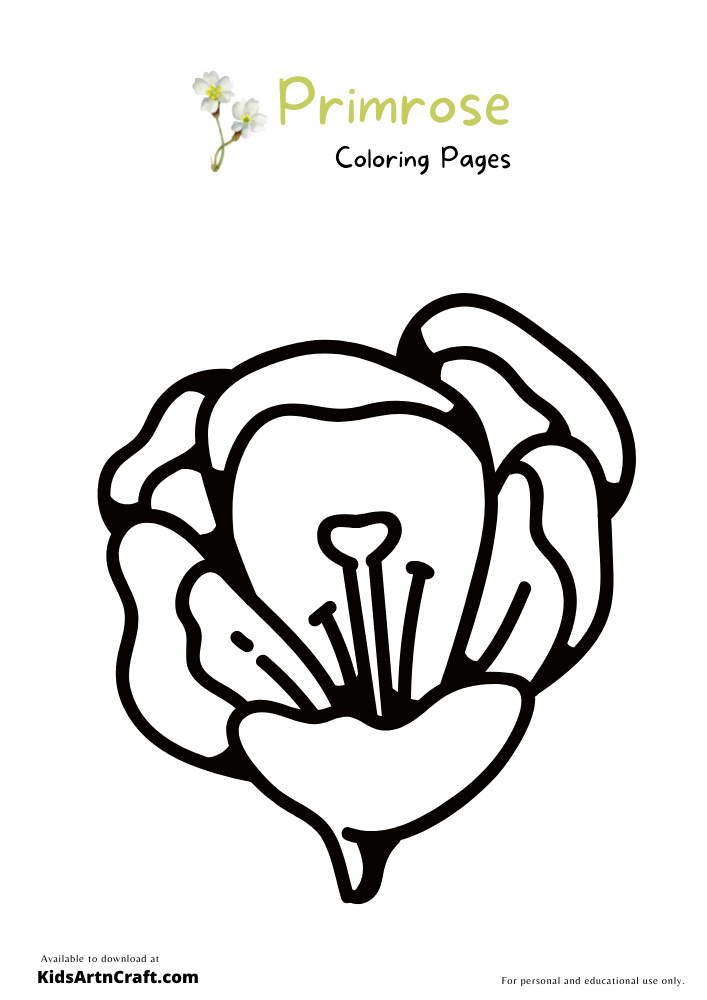 Primrose Coloring Pages For Kids – Free Printables
