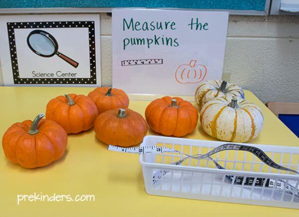 Pumpkin Measuring Math Activity For  Kids Math Teaching Activities For Preschoolers