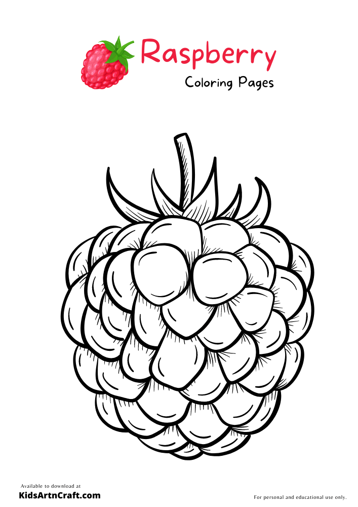 Raspberry Coloring Pages For Kids – Free Printables