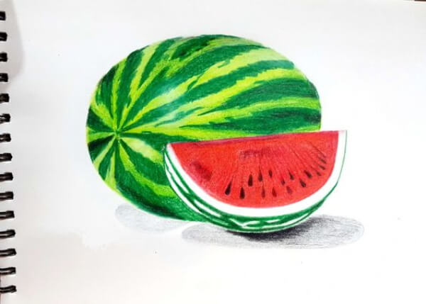 Realistic Watermelon Color Pencil Sketch For Kids Watermelon Drawing & Sketches for Kids